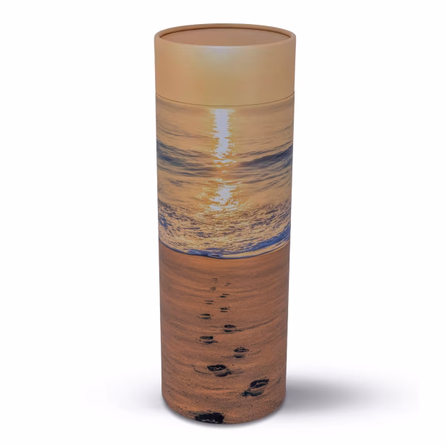 Footprints in the Sand